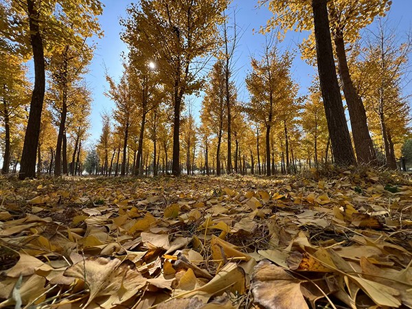 这里是公司新闻分类的标题，可以加文字379744379